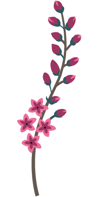 pink stem 200x400